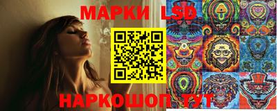 спиды Новодвинск