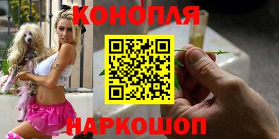 спиды Новодвинск