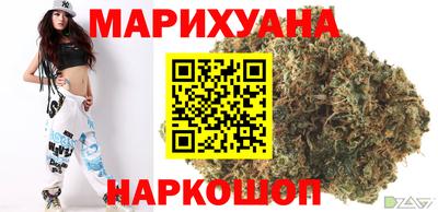 спиды Новодвинск