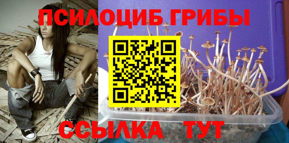 Псилоцибиновые грибы Magic Shrooms  Вход с VPN  Шали  Галлюциногенные грибы мицелий 